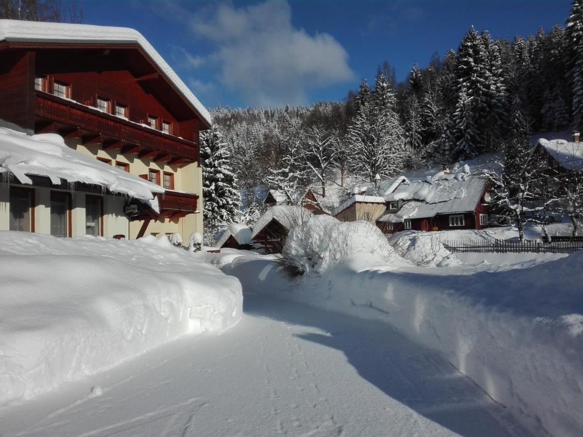 Rodinny "Hotel U Mustku" Desná エクステリア 写真